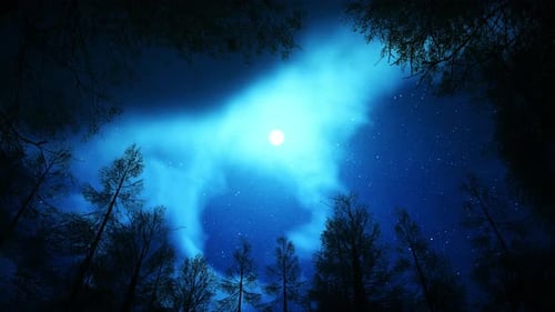 Night Forest With Clouds And Moon