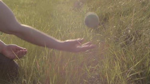 Hands Tossing Ball in a Sunlit Grassy Field