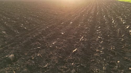 Landwirtschaftliches Ackerland Feld 29