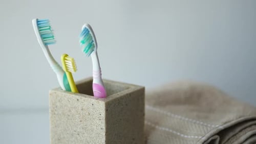Three Toothbrushes in Bathroom Toothbrush Holder