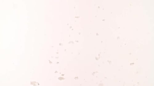 Macro Shot of Particles Made of Powder Bubbles in Water Cosmetic Texture in Water Descend Up on