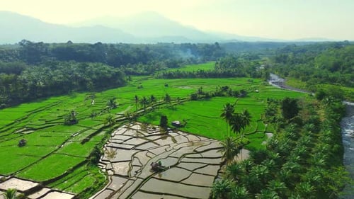 Beautiful morning view indonesia panorama landscape paddy fields with beauty color and sky natural