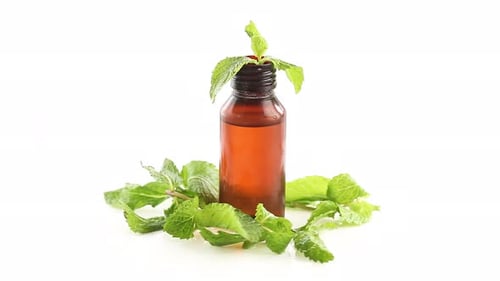 Mint Essential Oil with Fresh Green Leaves