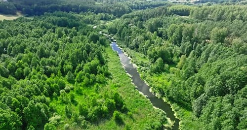 Small river on green swamps. Aerial view of nature