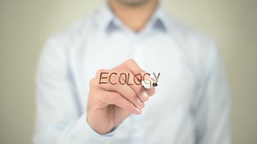 Adult Hand Writes Ecology on Transparent Surface