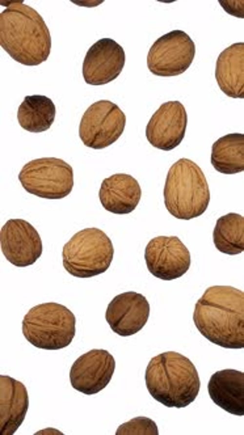 Falling Walnuts on White Background Vertical Video