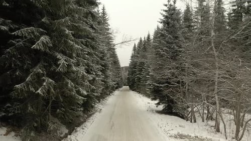 Snowy Forest Road Amazing Drone Shot