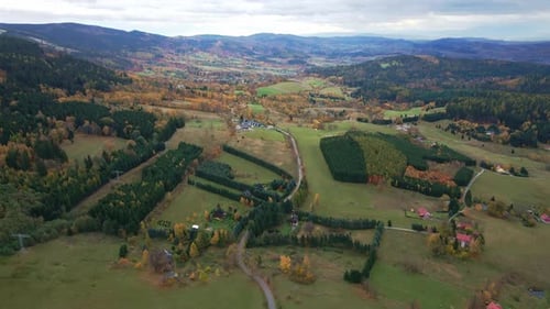 Aerial View of Colorful Autumn Forest Covering Rolling Hills