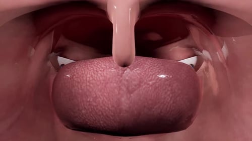 Close-Up View of Human Throat Anatomy