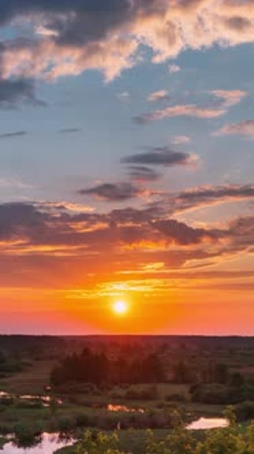 Atemberaubender Sonnenaufgang über dem Sommerwald