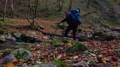 Active man crossing the river, hiking through the forest path