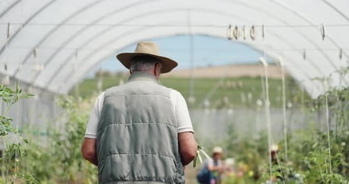 Man Walks Through Greenhouse Filled With Plants