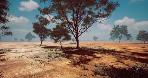 Seamless Flythrough Across Arid Landscape with Scattered Trees