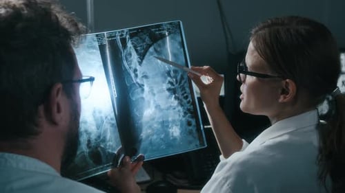 Two doctors reviewing X-ray scans in office