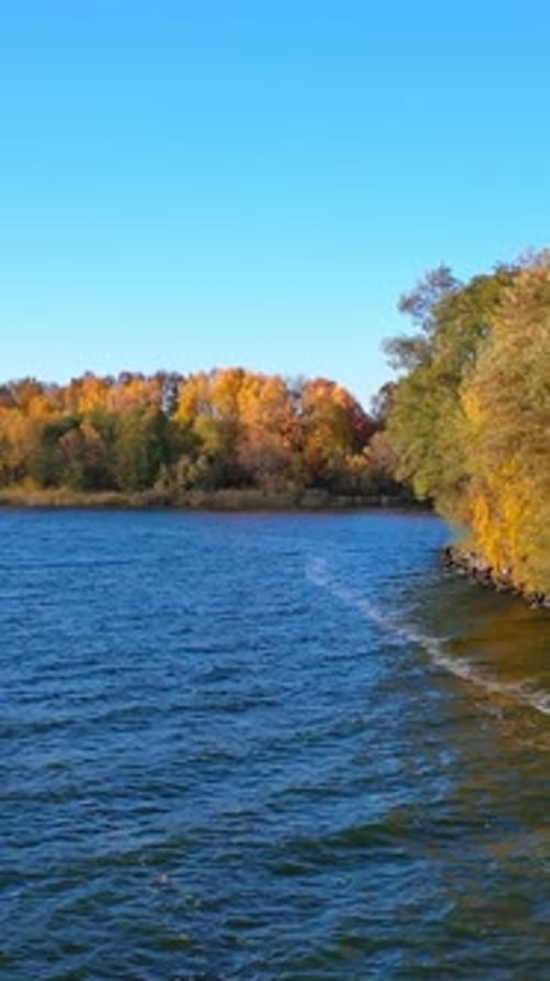 River near colorful trees. Nature landscape in autumn. Beautiful scenery in fall season.