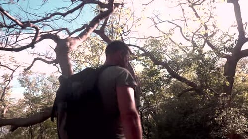 Man walking in a forest on a sunny day, surrounded by trees. Backpacking through nature.