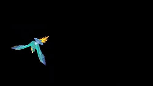 Cockatoo Bird Circle Fly 2