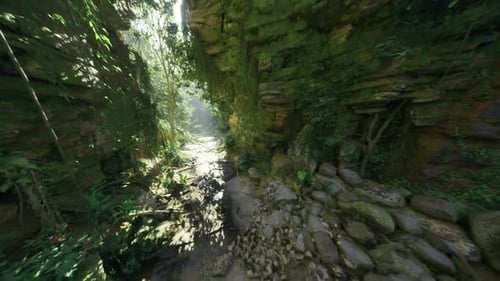 Remote Bolivian Wilderness Trail Filled with Smooth Boulders and Light Contrasts