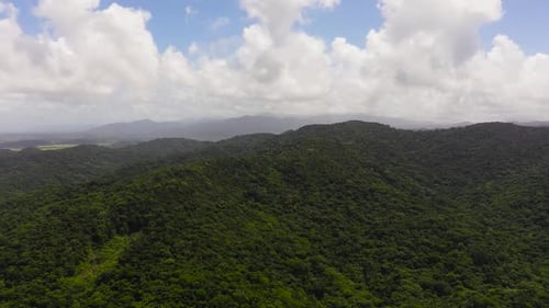 Aerial View of Tropical Mountains Covered in Forest