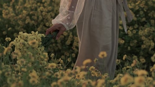 A Womans Hand Gently Touches Beautiful Yellow Flowers in a Scenic and Colorful Field