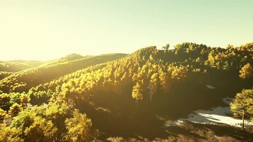Aerial Drone View of a Mountain Forest with Colorful Autumn Trees