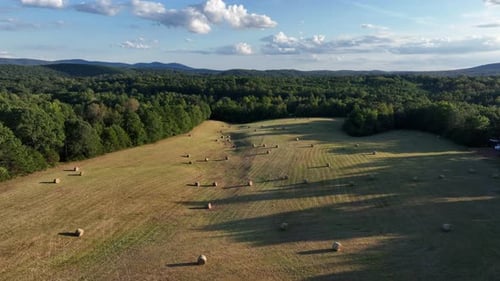 Golden Sunset Drone View of Round Hay Bales in Fields