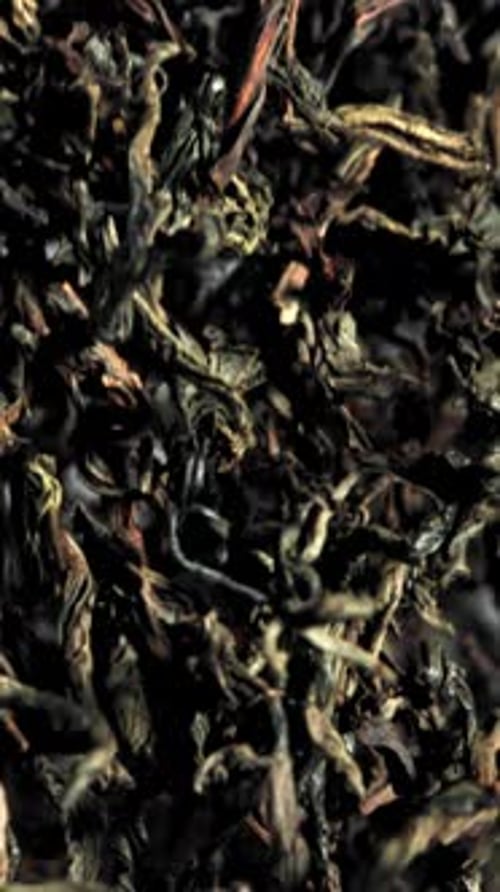 Dry Tea Flies Up and Down Filmed on a Highspeed Camera at 1000 Fps