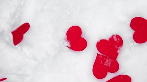 Red Heart Shapes Falling on Fresh White Snow