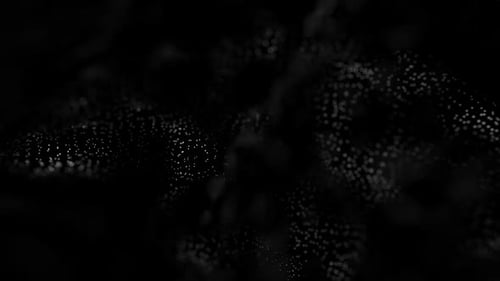 White Particles