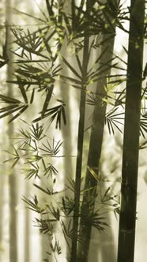A Serene Bamboo Grove Enveloped in Mystical Fog