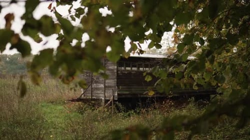 Old and broken wooden cabin standing in a field inside the forest.