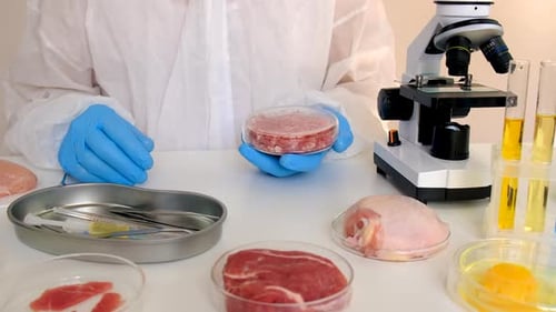 Scientist Examines Raw Meat in Laboratory