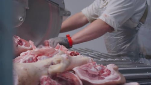 Meat Processing Worker Cuts Pork on Conveyor Belt