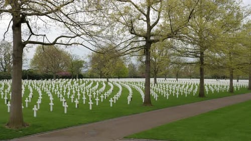 American memorial war cemetery, white crosses, pan shot