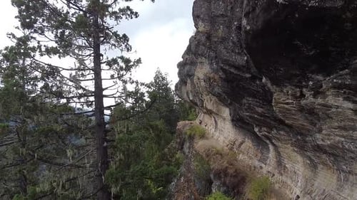 Revealing aerial view going from the trees and near the steep rock cliffs, captured in wild mountain