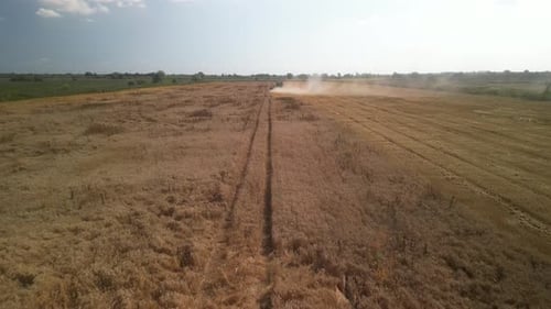 Wheat field aerial view in Ukraine