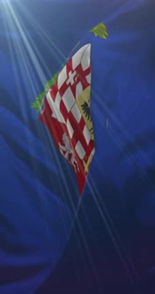 Elegant Animated Emblem Waving with Shining Light Rays