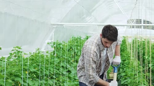 Cheerful Young Worker in a Greenhouse Giving a Thumbs Up