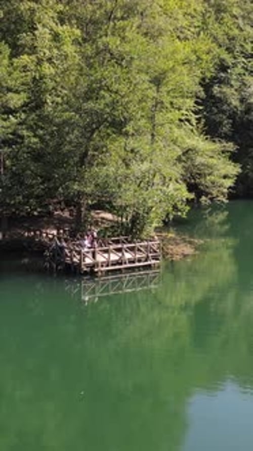 Bewaldeter Seepark im Wald