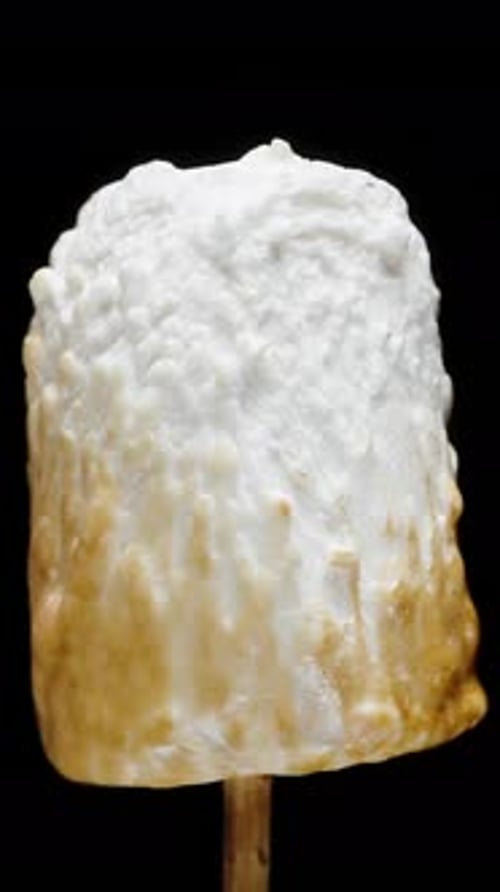 Toasting Marshmallow on a Stick Over Fire