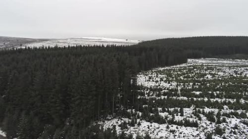 Aerial snowing winter forestry landscape coniferous fairy tale snow white forest landscape panning r