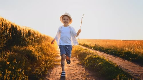 Little Boy in Panama Hat of Smiling and Happy Kid in Nature on Field with Wheat Playing with Kite