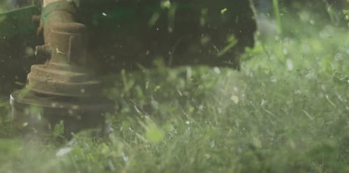 Handrasenmäher, der Gras mäht
