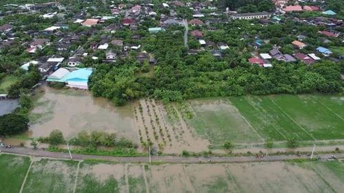 Aerial view of paddy fields or agricultural areas affected by rainy season floods.