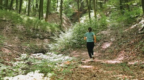 A Woman Jogs on a Vibrant Forest Trail Surrounded By Greenery and Wildlife Enjoying Nature