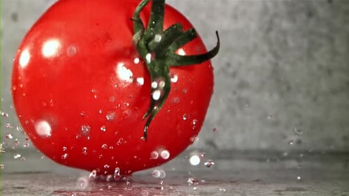 Frische Tomaten mit einem Spritzer Wasser, gefilmt mit einer Hochgeschwindigkeitskamera mit 1000 Bildern pro Sekunde