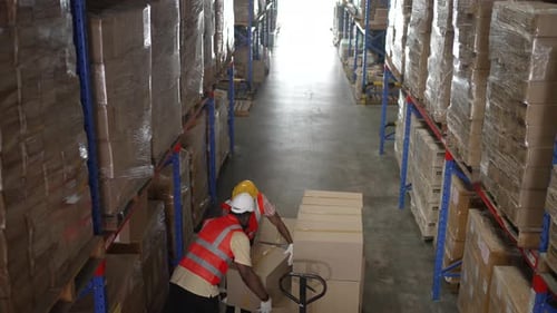 Logistics employees are working warehouse.