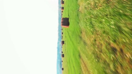 Agriculture wheat field with round hay bales
