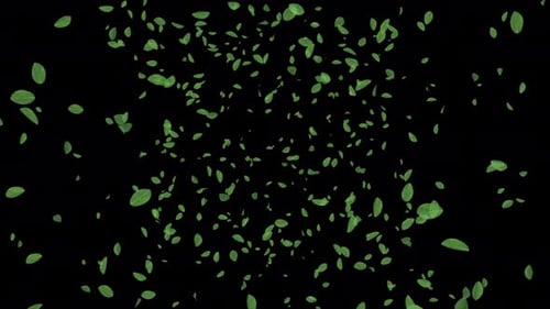 Cherry Leaves Explosion. Burst of Cherry Leaf. Leaf Shape Particles Blast. Alpha Channel