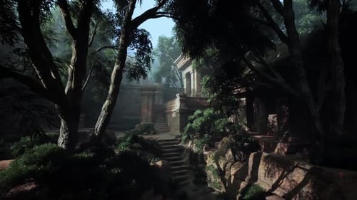 Dense TreeFilled Forest